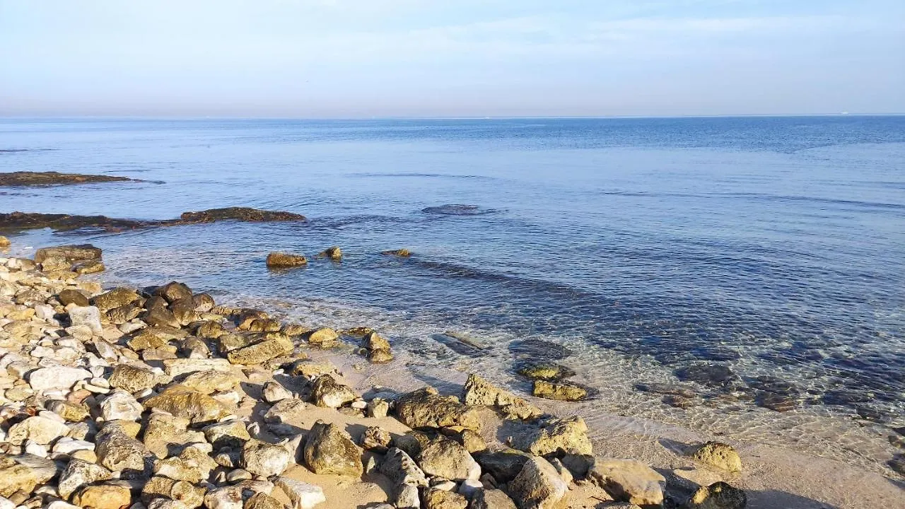 Seagull Apartments - Front And Sea View & Airport Bari