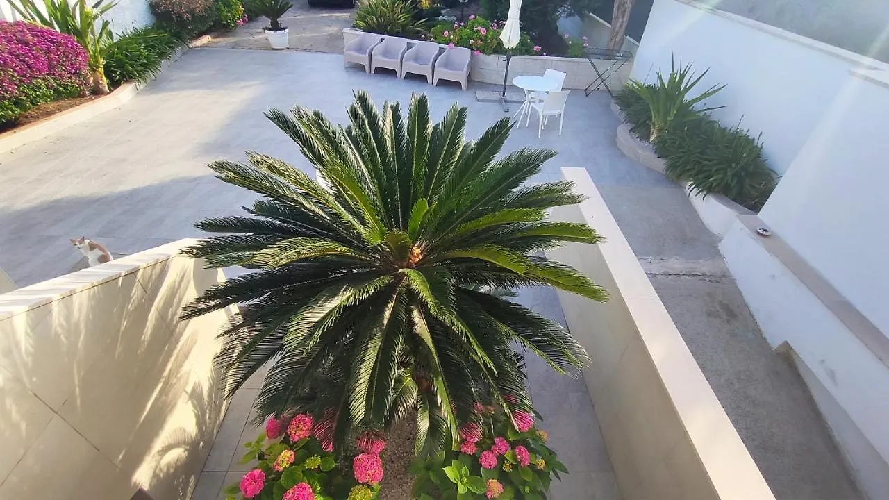 Seagull Apartments - Front And Sea View & Airport Bari Italia