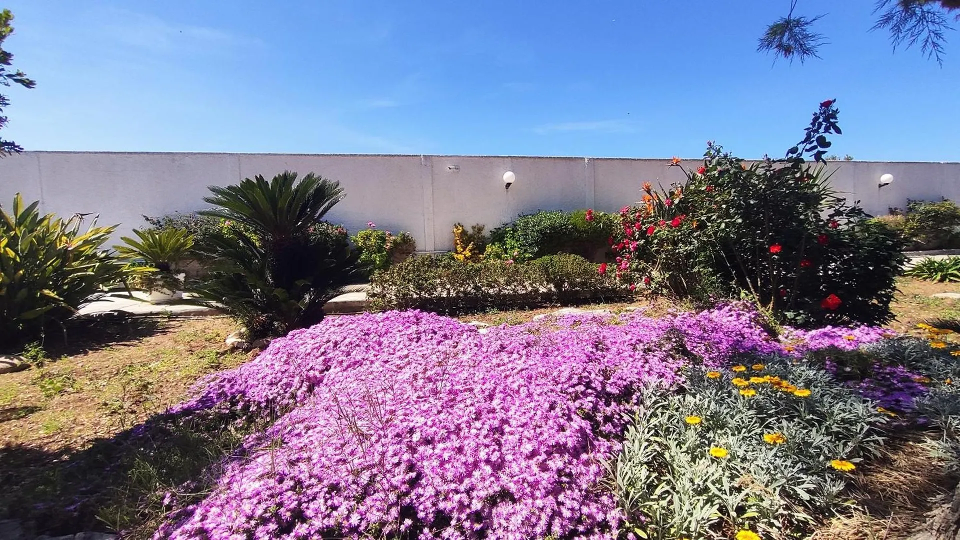 Seagull Apartments - Front And Sea View & Airport Bari 0*,