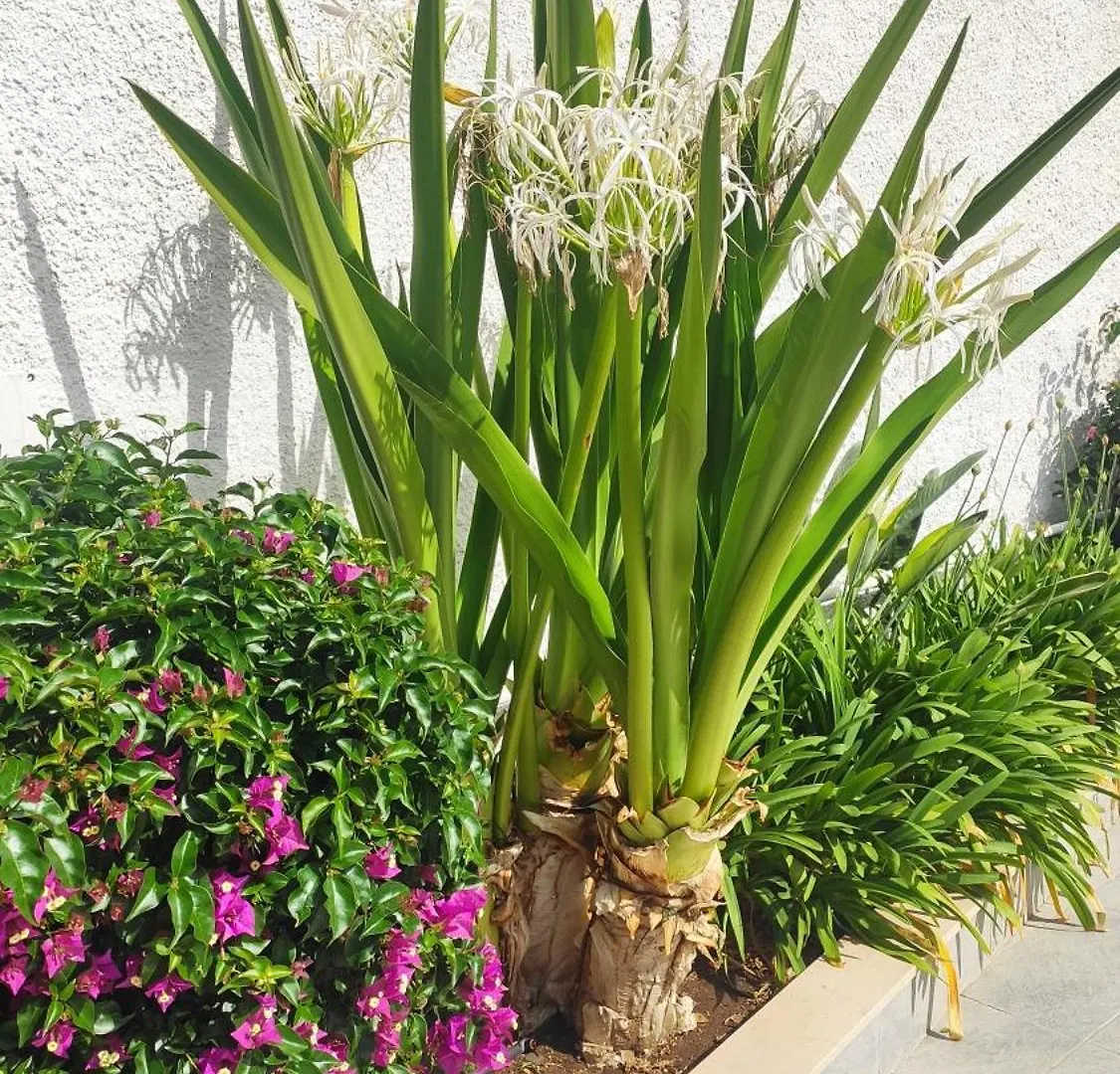 Seagull Apartments - Front And Sea View & Airport Bari