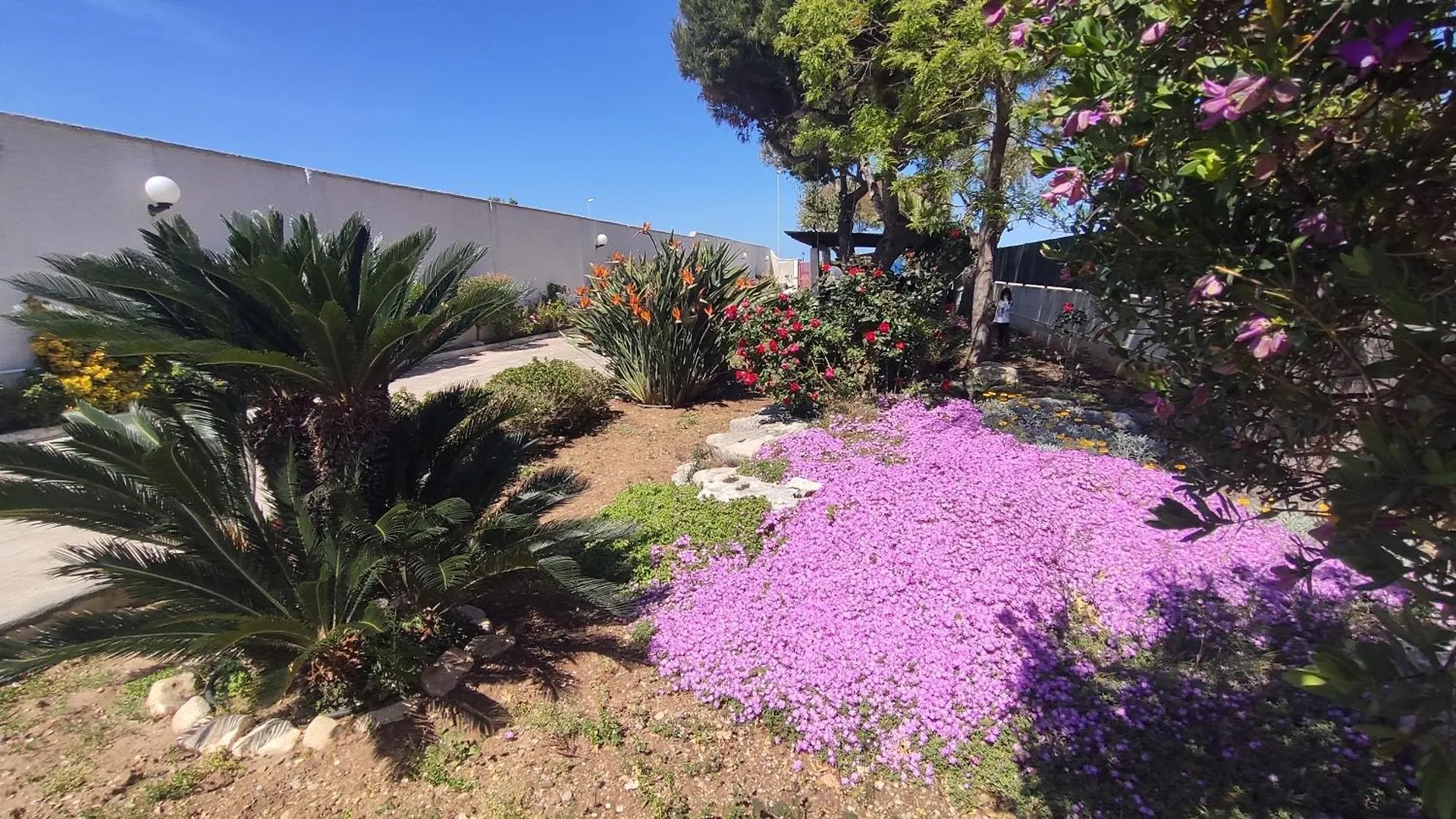 Seagull Apartments - Front And Sea View & Airport Bari